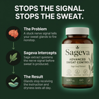 Sage Leaf Extract – Stop Excessive Sweating Naturally